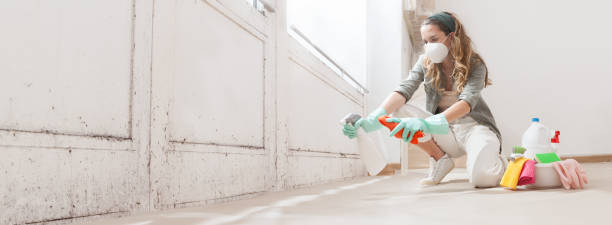 Best Mold Odor Removal Services  in South Taft, CA